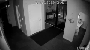 Caméra IP - États-Unis d'Amérique