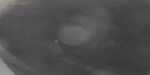 Caméra IP - Bulgarien