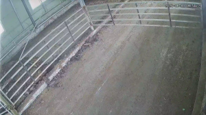 Caméra IP - South Korea