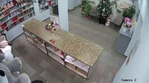 Caméra IP - Russian Federation