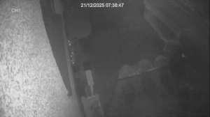 Caméra IP - Royaume-Uni