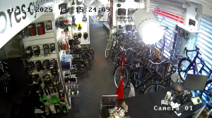 Caméra IP - Denmark