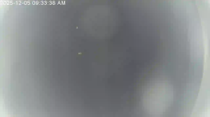 Caméra IP - Türkiye