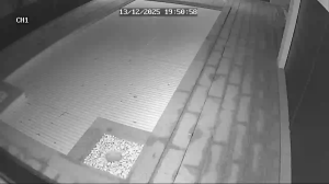 Caméra IP - Portugal