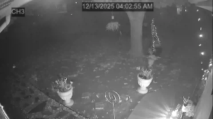 Caméra IP - United States of America