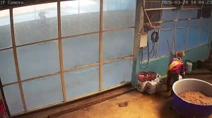 Caméra IP - Thailand