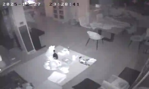 Caméra IP - Paesi Bassi