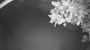 Caméra IP - Thailand