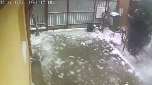 Caméra IP - Romania