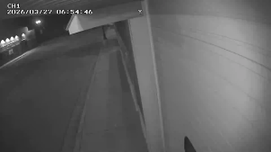 Caméra IP - Vereinigte Staaten von Amerika