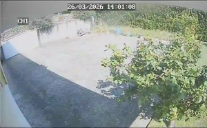 Caméra IP - Portugal