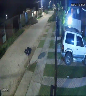 Caméra IP - Bolivie