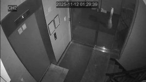 Caméra IP - South Korea