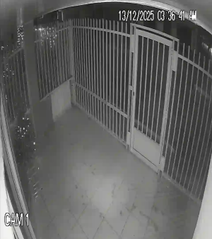 Caméra IP - Colombia