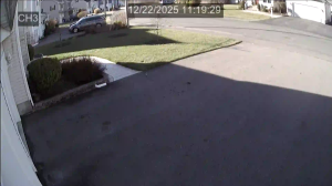 Caméra IP - Estados Unidos