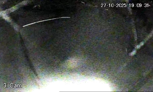 Caméra IP - Irlande