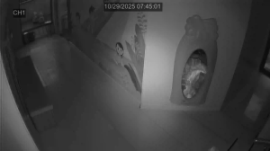 Caméra IP - Géorgie