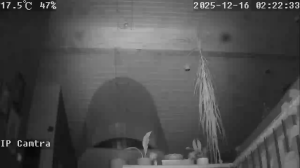 Caméra IP - Islande