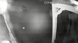 Caméra IP - United States of America