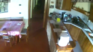 Caméra IP - États-Unis d'Amérique