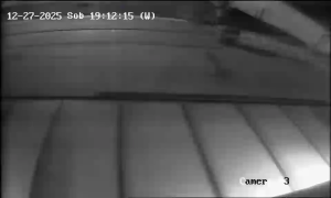 Caméra IP - Slovacchia