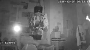 Caméra IP - Singapore