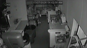 Caméra IP - Estados Unidos