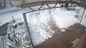 Caméra IP - Russische Föderation