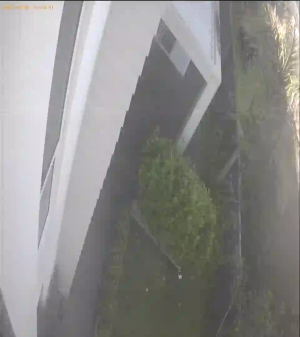 Caméra IP - New Zealand