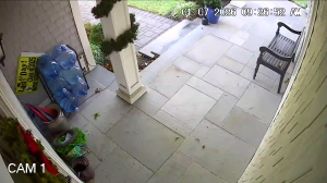 Caméra IP - United States of America