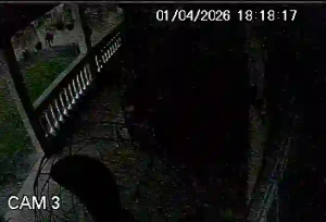 Caméra IP - Brésil