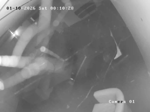 Caméra IP - United Kingdom