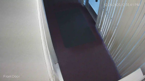 Caméra IP - United States of America