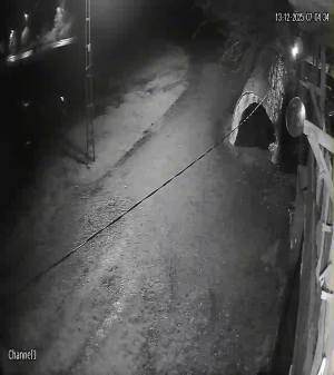 Caméra IP - Turquía