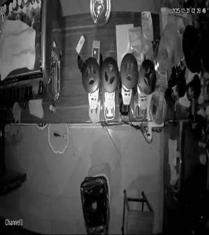 Caméra IP - Islamic Republic of Iran