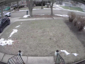 Caméra IP - Vereinigte Staaten von Amerika