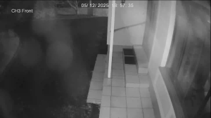 Caméra IP - Irlande