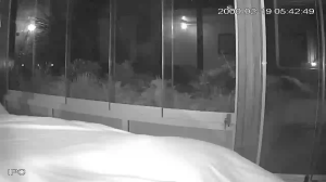 Caméra IP - Morocco