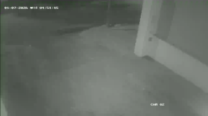 Caméra IP - Argentinien