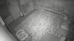 Caméra IP - South Korea