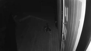 Caméra IP - Nouvelle-Zélande