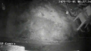 Caméra IP - Singapore