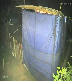 Caméra IP - Vue en direct