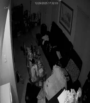 Caméra IP - Estados Unidos