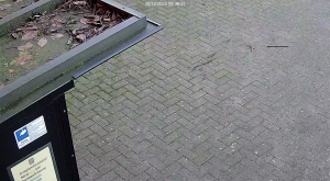 Caméra IP - Alemania