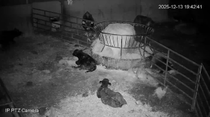 Caméra IP - États-Unis d'Amérique