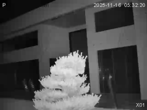 Caméra IP - Schweiz