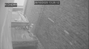 Caméra IP - Belgium