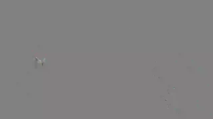 Caméra IP - Singapur