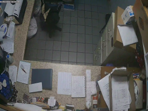 Caméra IP - United States of America